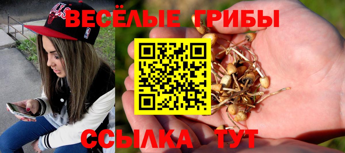 Добрянка  Псилоцибиновые грибы мухоморы  Вход с VPN  Галлюциногенные грибы Psilocybine cubensis 